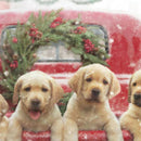 Red Truck with Puppies Garden Suede Flag