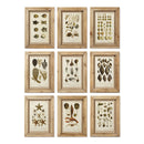 Napa Home Garden, FRAMED ANTIBES PRINT S/9