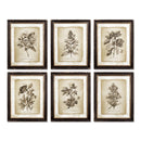 NAPA Home & Garden, FRAMED VINTAGE FLORAL PRINTS, SET OF 6