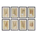 NAPA Home & Garden, FRAMED VINTAGE FERN PRINTS, SET OF 8