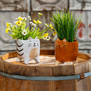 Petal & Plow Planter, Ceramic, Cat, Asst of 2