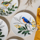 Song Bird Ceramic Appetizer Plate Set, 6"