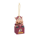 Mascot Ornament, Washington Redskins