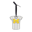 Just Add Color, Jersey, University Of Michigan