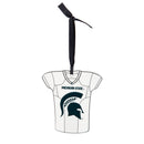 Just Add Color, Jersey, Michigan State University