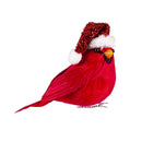 Cardinal with Santa Hat Tree Clips in Acetate Box, Set of 4