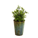 Set of 3 Nested Metal Planter with Leaf Embossing
