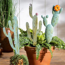 Tropical Oasis Garden Stake, Metal Cactus, 24", CDU