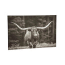 Outdoor Canvas Wall Décor, Longhorn, 36" L x 24" H
