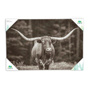 Outdoor Canvas Wall D√©cor, Longhorn, 36" L x 24" H