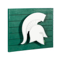 Lit Wall Decor, Michigan State University