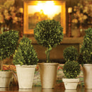 NAPA Home & Garden, BOXWOOD TOPIARIES IN POTS, SET OF 8,7507PG