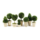 NAPA Home & Garden, BOXWOOD TOPIARIES IN POTS, SET OF 8