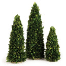 NAPA Home & Garden, BOXWOOD MINI TREES, SET OF 3