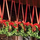 NAPA Home & Garden, BOXWOOD WREATH WITH RED RIBBON,7573SPG