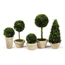 NAPA Home & Garden, BOXWOOD TOPIARIES IN POTS, SET OF 5
