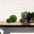 NAPA Home & Garden Boxwood Ball Decor