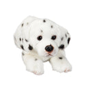 Dalmatian 12" Stuffed Animal