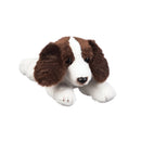 Evergreen Gifts,Springer Spaniel 8" Bean Bag