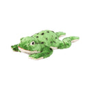 Evergreen Gifts,Frog Bean Bag