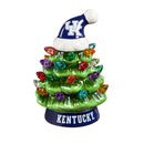 4" Mini LED Tabletop Christmas Tree, University of Kentucky