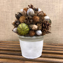 NAPA Home & Garden, PORTSMITH 10" BALL IN POT