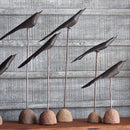 NAPA Home & Garden, THE FLOCK Collection