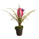 NAPA Home & Garden, TILLANDSIA DROP-IN 8.5"