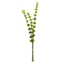 NAPA Home & Garden, BELLS OF IRELAND 46", BUNDLE OF 3