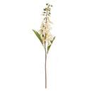 Napa Home Garden, FOX GLOVE 24" STEM CREAM