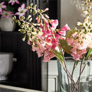 Napa Home Garden, FOX GLOVE 24" STEM FUCHSIA,cc246pkd