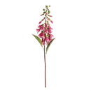Napa Home Garden, FOX GLOVE 24" STEM FUCHSIA