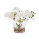 Napa Home Garden, PHALAENOPSIS 8.5" ARGMT IN VASE WH