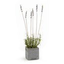 NAPA Home & Garden, FRENCH LAVENDER SQUARE POT 19"