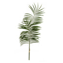 NAPA Home & Garden, PALM LEAF BRANCHES 47.5", BUNDLE OF 2