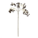 Napa Home Garden, BERRY STEM 25.5" BLACK