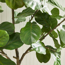 NAPA Home & Garden, FIDDLE LEAF FIG TREE POTTED 79",CC294