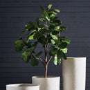 NAPA Home & Garden, FIDDLE LEAF FIG TREE POTTED 79",CC294