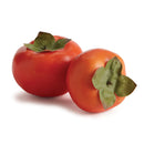 NAPA Home & Garden, PERSIMMONS, SET OF 2