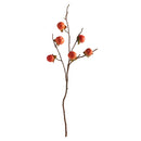 NAPA Home & Garden, HEDGE APPLE & PERSIMMON BRANCH Collection
