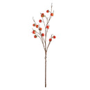 NAPA Home & Garden, HEDGE APPLE & PERSIMMON BRANCH Collection