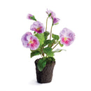 Napa Home Garden, PANSY DROP-IN 11.5" LILAC