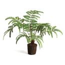 NAPA Home & Garden, FOREST FERN DROP-IN 29.5"