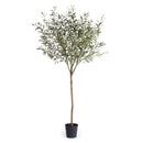 NAPA Home & Garden, OLIVE TREE DROP-IN 96"