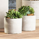 Napa Home Garden, CONCRETE PIPE 3" CACHEPOT,cd238