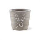 Napa Home Garden, PETER RABBIT MINI CACHEPOT