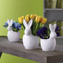 NAPA Home & Garden, WHITE RABBIT CACHEPOT 9",CD306
