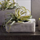 Napa Home Garden, MASON No. 5 POT,cd325