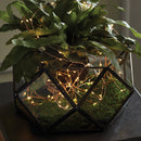 NAPA Home & Garden, NAPA NIGHT SKY LED WIRE STRING LIGHTS