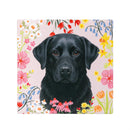 Hillside Pasture Pet Dog Ceramic Coaster Program, Asst of 6, 24 pieces Total, CDU